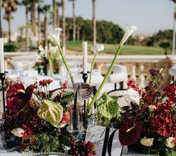 Wedding Decoration Service Providers in Egypt You Should Know