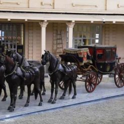 5 متاحف متخصصة في القاهرة لازم تزورها في 2025: جولة مختلفة جوه كنوز مصر المنسية