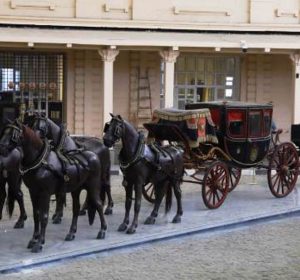 5 متاحف متخصصة في القاهرة لازم تزورها في 2025: جولة مختلفة جوه كنوز مصر المنسية