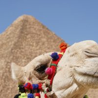 خروجات غير مكلفة في القاهرة.. أماكن حلوة تروحها بالمترو وتنبسط بأقل تكلفة