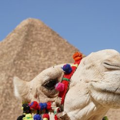 خروجات غير مكلفة في القاهرة.. أماكن حلوة تروحها بالمترو وتنبسط بأقل تكلفة