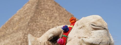 خروجات غير مكلفة في القاهرة.. أماكن حلوة تروحها بالمترو وتنبسط بأقل تكلفة