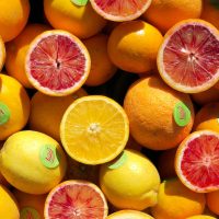 Where to Shop for Organic Fruit & Vegetables in Egypt