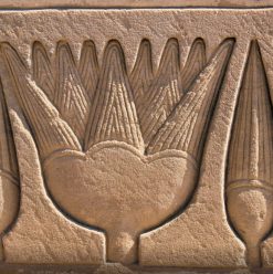 Lotus Flower: A Staple of Ancient Egypt and Where Is It in Present Day Egypt