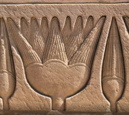 Lotus Flower: A Staple of Ancient Egypt and Where Is It in Present Day Egypt
