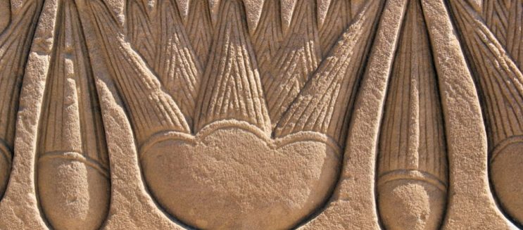 Lotus Flower: A Staple of Ancient Egypt and Where Is It in Present Day Egypt