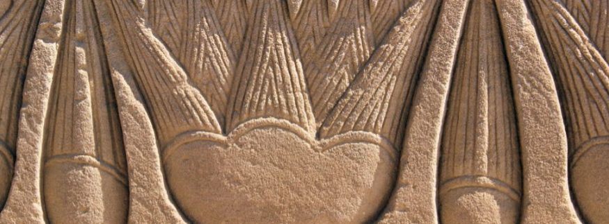 Lotus Flower: A Staple of Ancient Egypt and Where Is It in Present Day Egypt