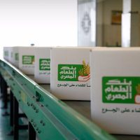 World Food Day in Egypt: Where and How You Can Donate Food