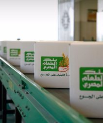 World Food Day in Egypt: Where and How You Can Donate Food