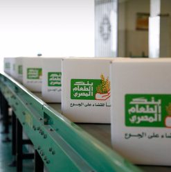 World Food Day in Egypt: Where and How You Can Donate Food