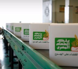 World Food Day in Egypt: Where and How You Can Donate Food