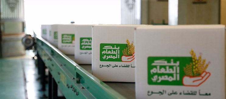 World Food Day in Egypt: Where and How You Can Donate Food