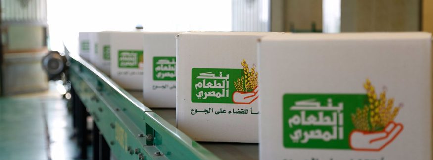 World Food Day in Egypt: Where and How You Can Donate Food