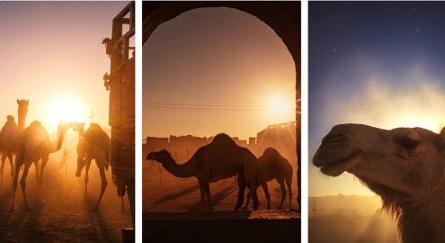 رحلة لسوق برقاش.. عالم الجمال اللي بيحكي حكاية مصر القديمة (صور) رحلة لسوق برقاش.. عالم الجمال اللي بيحكي حكاية مصر القديمة (صور)