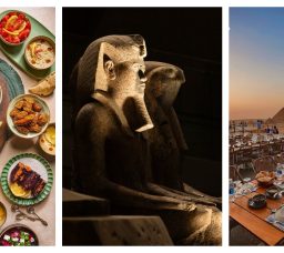 أفضل مطاعم داخل المتحف المصري الكبير وحوله 2025: تجربة أكل فريدة بين عظمة التاريخ وجمال المكان أفضل مطاعم داخل المتحف المصري الكبير وحوله 2025: تجربة أكل فريدة بين عظمة التاريخ وجمال المكان
