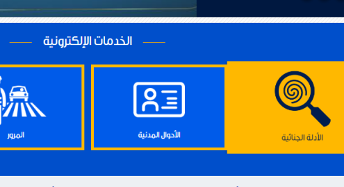 ازاي تطلع الفيش والتشبيه المستعجل أونلاين من البيت في 2025 خطوة بخطوة