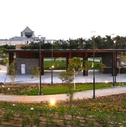 مهرجان تلال الفسطاط الشتوي 2025: من مقلب نفايات لأجمل متنفس أخضر في قلب القاهرة