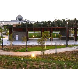 مهرجان تلال الفسطاط الشتوي 2025: من مقلب نفايات لأجمل متنفس أخضر في قلب القاهرة