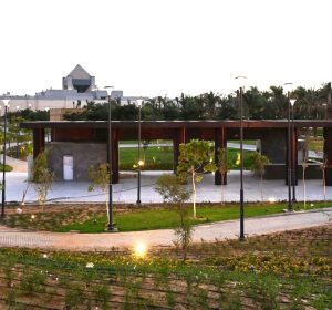 مهرجان تلال الفسطاط الشتوي 2025: من مقلب نفايات لأجمل متنفس أخضر في قلب القاهرة