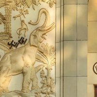 حديقة الحيوان بالجيزة 2025.. كل تفاصيل التجديد والافتتاح وربطها بحديقة الأورمان