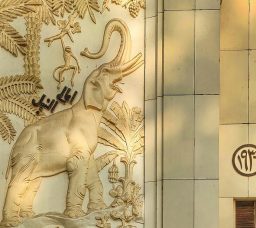 حديقة الحيوان بالجيزة 2025.. كل تفاصيل التجديد والافتتاح وربطها بحديقة الأورمان