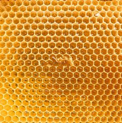 براندات عسل نحل مصرية تستحق التجربة في 2025.. جودة عالية وأسعار مناسبة