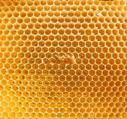 براندات عسل نحل مصرية تستحق التجربة في 2025.. جودة عالية وأسعار مناسبة