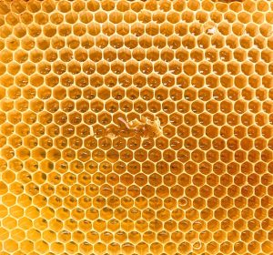 براندات عسل نحل مصرية تستحق التجربة في 2025.. جودة عالية وأسعار مناسبة