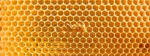 براندات عسل نحل مصرية تستحق التجربة في 2025.. جودة عالية وأسعار مناسبة