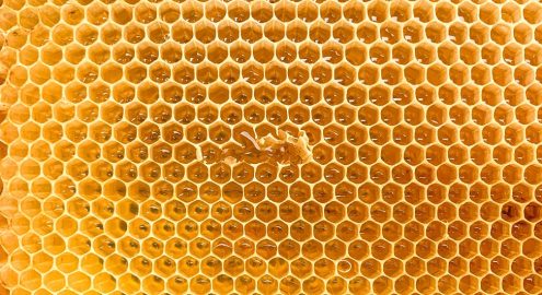 براندات عسل نحل مصرية تستحق التجربة في 2025.. جودة عالية وأسعار مناسبة