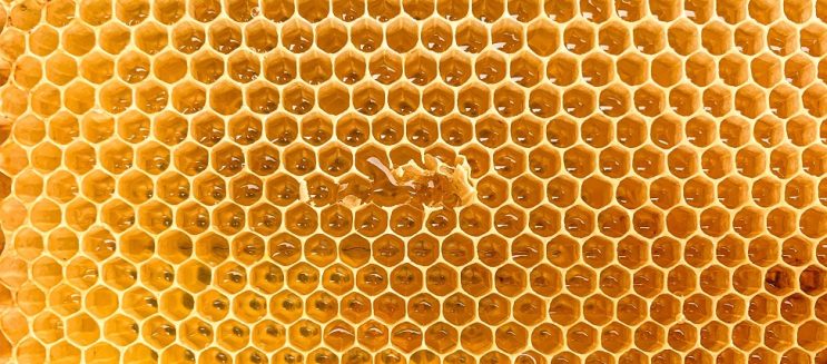 براندات عسل نحل مصرية تستحق التجربة في 2025.. جودة عالية وأسعار مناسبة