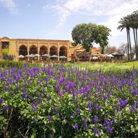 أفضل 9 حدائق في القاهرة 2025: أماكن للترفيه والاسترخاء