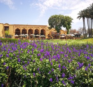 أفضل 9 حدائق في القاهرة 2025: أماكن للترفيه والاسترخاء