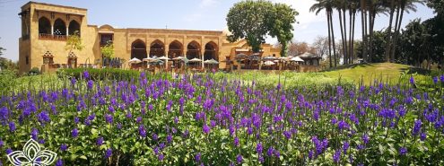 أفضل 9 حدائق في القاهرة 2025: أماكن للترفيه والاسترخاء