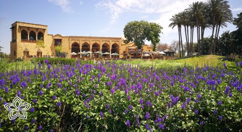 أفضل 9 حدائق في القاهرة 2025: أماكن للترفيه والاسترخاء