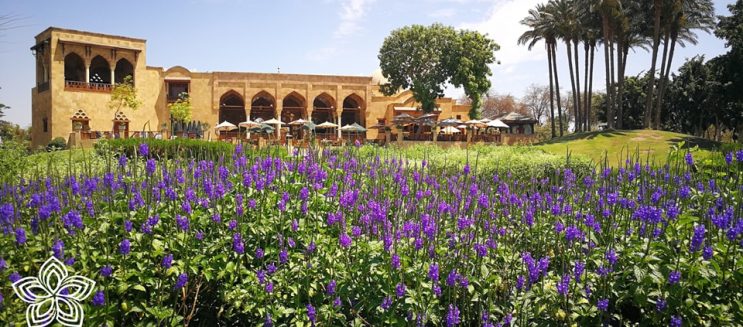 أفضل 9 حدائق في القاهرة 2025: أماكن للترفيه والاسترخاء