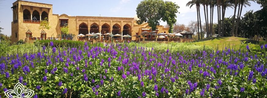 أفضل 9 حدائق في القاهرة 2025: أماكن للترفيه والاسترخاء