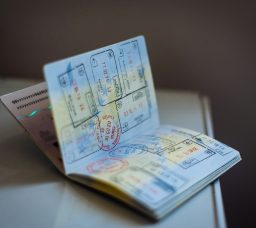 استخراج جواز السفر أونلاين في مصر 2025: خطوات بسيطة وسريعة