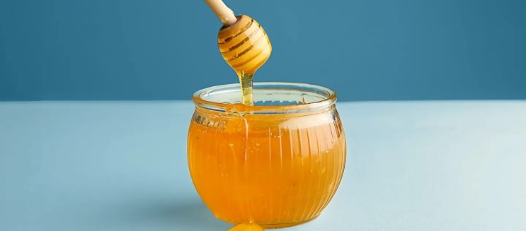 رحيق النيل الخالد: التفاصيل الكاملة لمهرجان العسل المصري في الزمالك