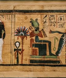 أفضل 10 كتب عن مصر القديمة: دليلك الشامل لفهم حضارتنا العريقة