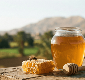 5 أماكن لعسل نحل طبيعي ومضمون في القاهرة 2025: اختيارات جربناها بنفسنا