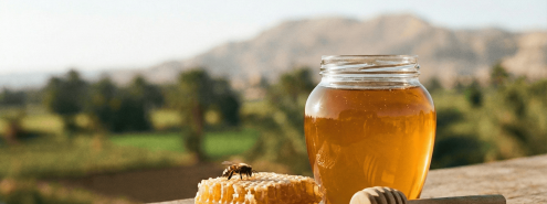 5 أماكن لعسل نحل طبيعي ومضمون في القاهرة 2025: اختيارات جربناها بنفسنا