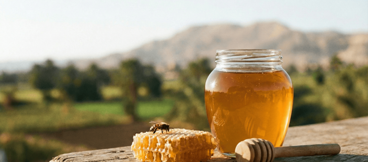 5 أماكن لعسل نحل طبيعي ومضمون في القاهرة 2025: اختيارات جربناها بنفسنا