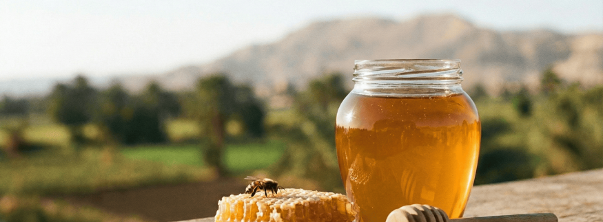 5 أماكن لعسل نحل طبيعي ومضمون في القاهرة 2025: اختيارات جربناها بنفسنا