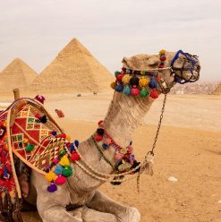 اكتشف القاهرة من جديد: 25 مكان في العاصمة يستحقوا الزيارة