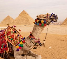 اكتشف القاهرة من جديد: 25 مكان في العاصمة يستحقوا الزيارة