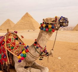 اكتشف القاهرة من جديد: 25 مكان في العاصمة يستحقوا الزيارة