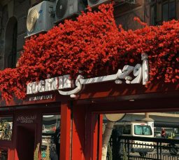 Coffee with Aesthetics: Themed Cafés to Check Out in Cairo