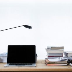 How to Study Smarter During Finals 2026, According to Science