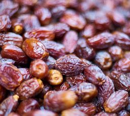 مهرجان القاهرة للتمور 2026 بالمتحف الزراعي.. الموعد والأسعار وطريقة الوصول